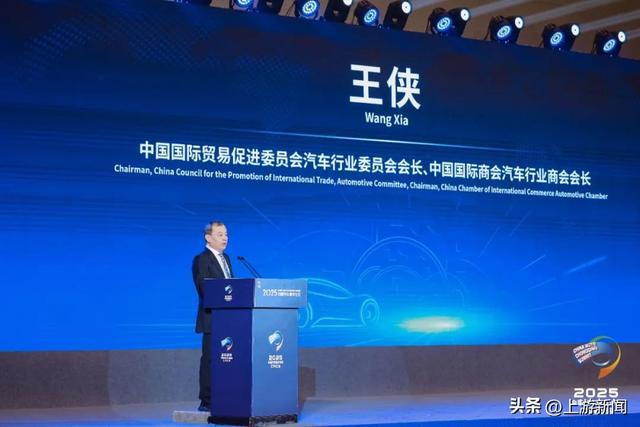 智启新程 潮领未来！2025重庆国际车展盛大开幕(图3)